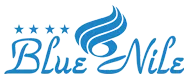 hotelbluenile.in