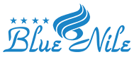 hotelbluenile.in